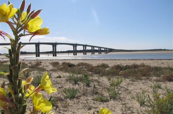 Saint Jean de Monts campsite | Vendee