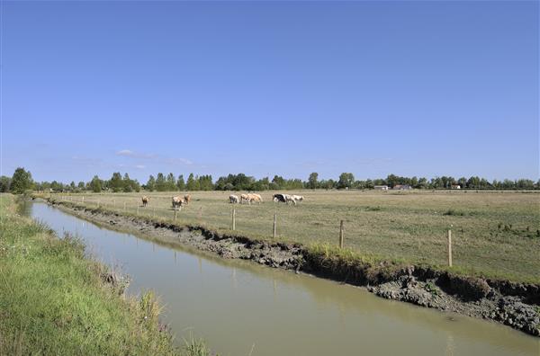 Saint Jean de Monts campsite | Vendee
