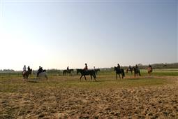 Saint Jean de Monts campsite | Vendee